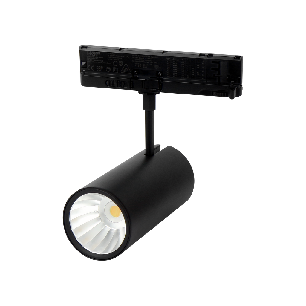 Railspot LUMICANTO 14-29W CCT 36/60° zwarte PRIME