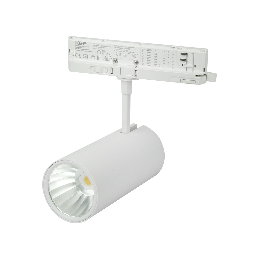 Railspot LUMICANTO 14-29W CCT 36/60° wit PRIME