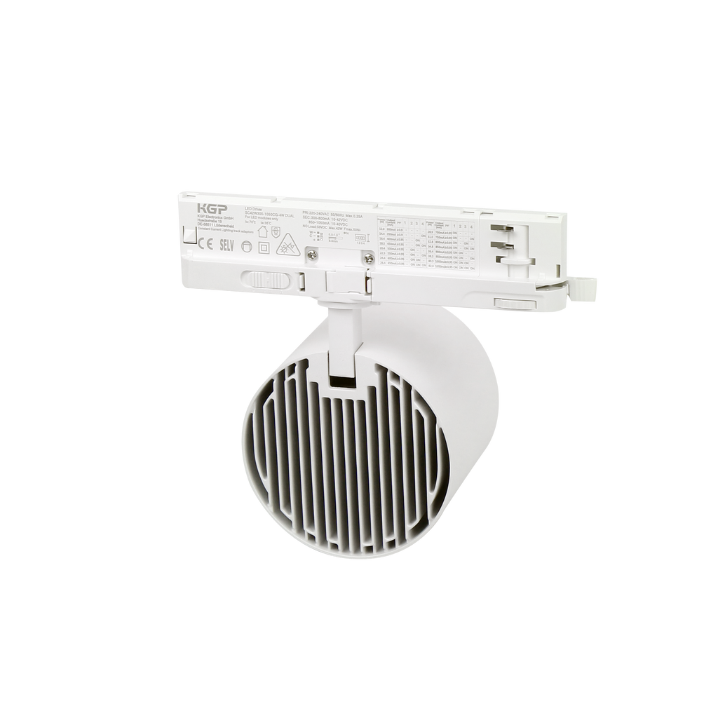 Railspot LUMICANTO 12-42W CCT 36/60° wit PRIME