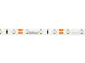 LED-strip 300/5m SMD 12V 6500K 4.8W IP20 8mm 5m 480lm/m PRIME