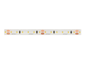 LED strip 600/5m SMD 12V GEEL 9.6W IP65 8mm 5m LITE