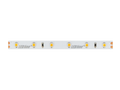 LED strip 300/5m SMD 24V 6500K 4.8W IP20 8mm 5m 400lm/m PRIME