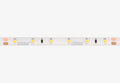 LED-strip 300/5m SMD 24V 3000K 4.8W IP65 8mm 5m 480lm/m LITE