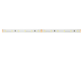LED-strip 300/5m SMD 24V 11000K 4.8W IP65 8mm 5m 400lm/m LITE