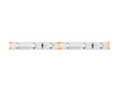 LED strip 300/5m SMD 12V GREEN 4.8W IP65 8mm 5m LITE