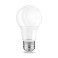 Braytron Advance LED Lamp 5W E27 6500K A60