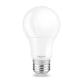 Braytron Advance LED Lamp 11W E27 6500K A60