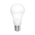 Braytron Premium LED Lamp E27 13,5W A65 5IN1