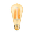 Braytron Advance LED Lamp 6W E27 2200K ST64 AMB