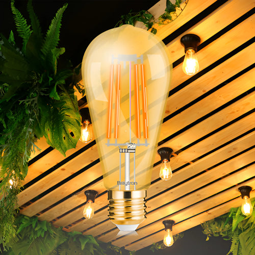 Braytron Advance LED Lamp 6W E27 2200K ST64 AMB DIM