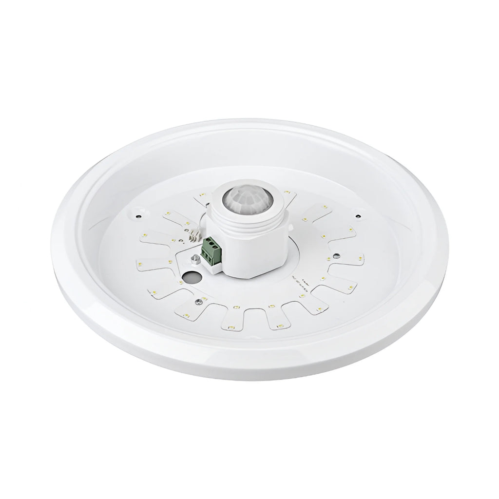 Braytron Sensa Plafondlamp 15W 6500K SNS