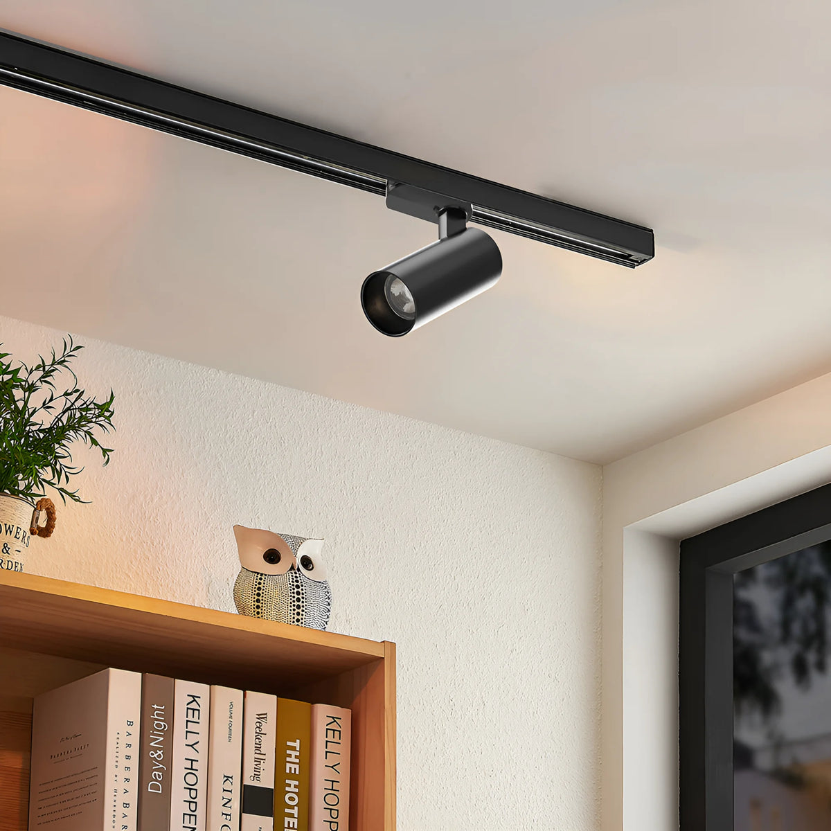Braytron Shopline Railspot 30W Zwart P30 4WRS 3IN1