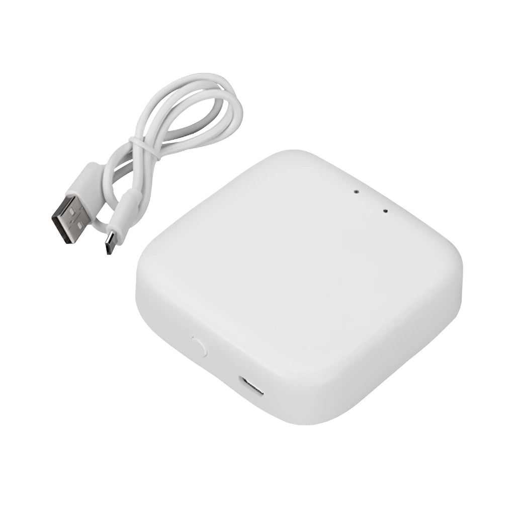 Braytron Ms20 Adapter Wit HUB TUYA LAN