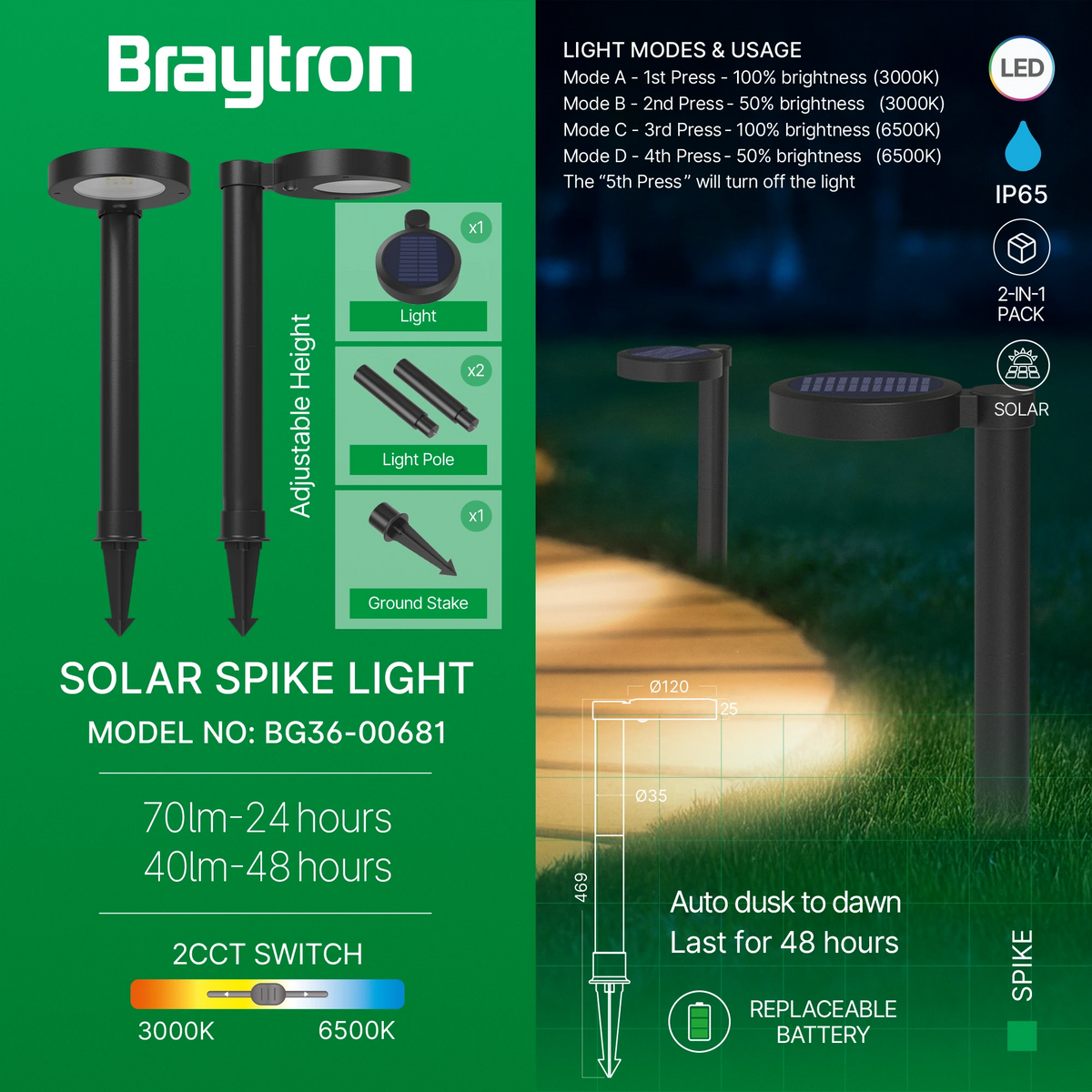 Braytron Spike Grondspot 8W IP65 Zwart 2A RND 2IN1