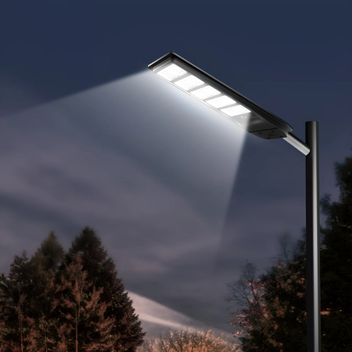 Braytron Solar Straatlamp 50W 6500K IP65 ST01 SNS