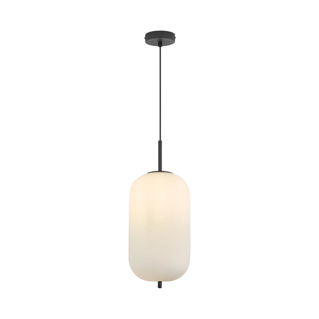 Braytron S011R Hanglamp Zwart 1H 1xE27 OPL