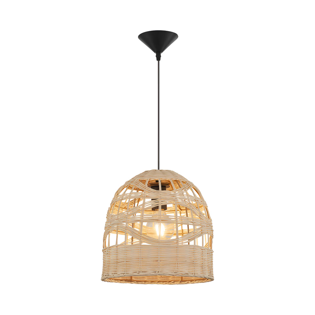 Braytron D003R Hanglamp 1H 1xE27 RTN