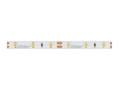 LED strip 300/5m SMD 12V GEEL 4.8W IP20 8mm 5m PRIME